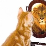 self-confidence